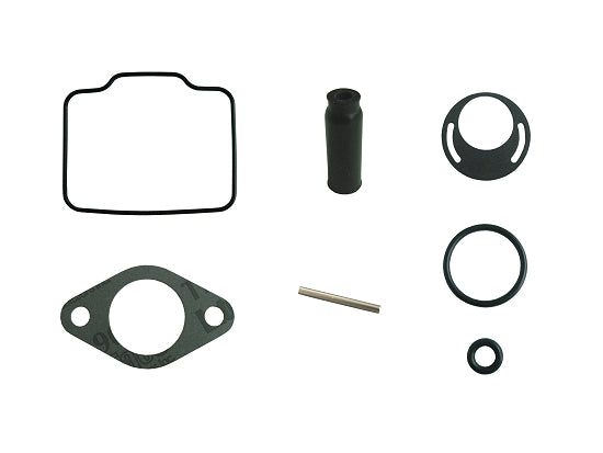 Briggs Animal carburetor rebuild kit components laid out for inspection