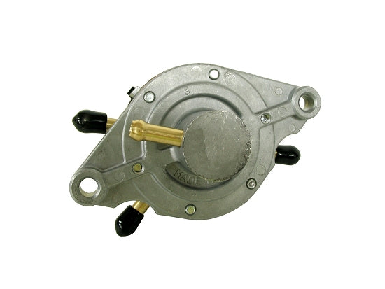 LP427 dual outlet fuel pump mounted on kart engine