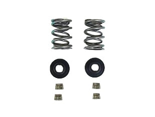 Dyno Animal dual valve spring kit with green springs and retainers