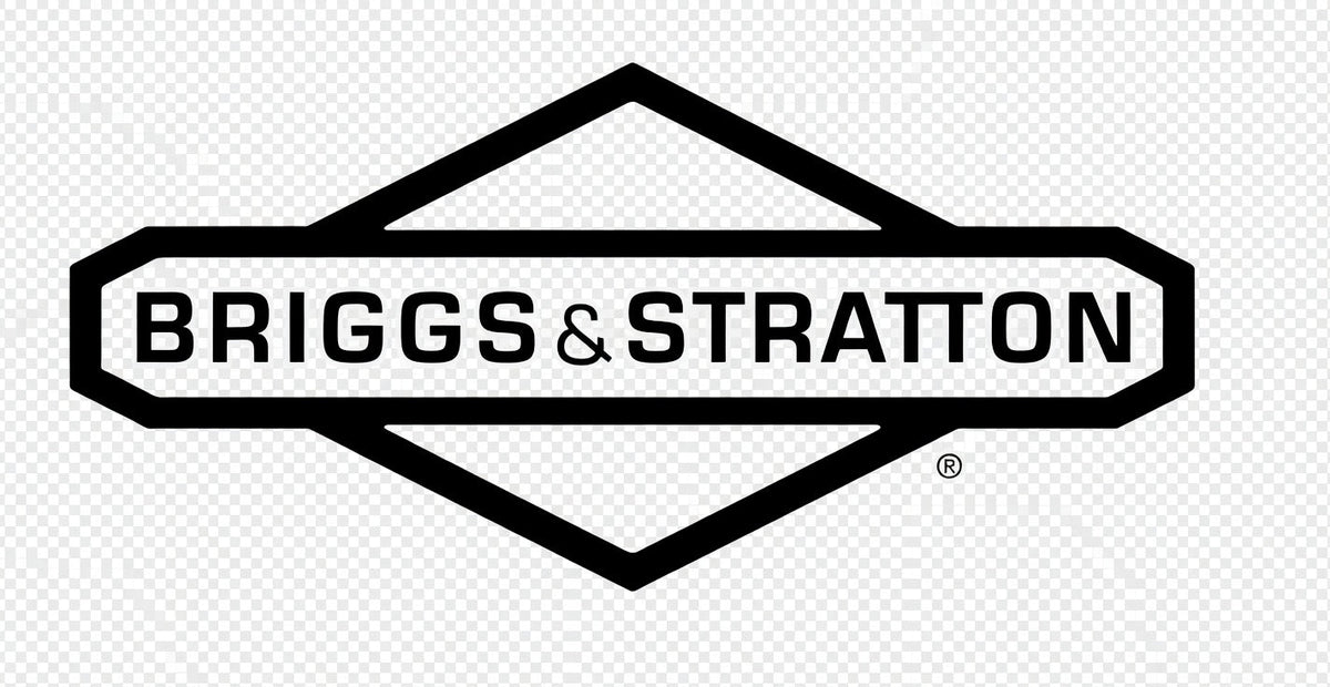 Briggs World Formula Engines and Parts