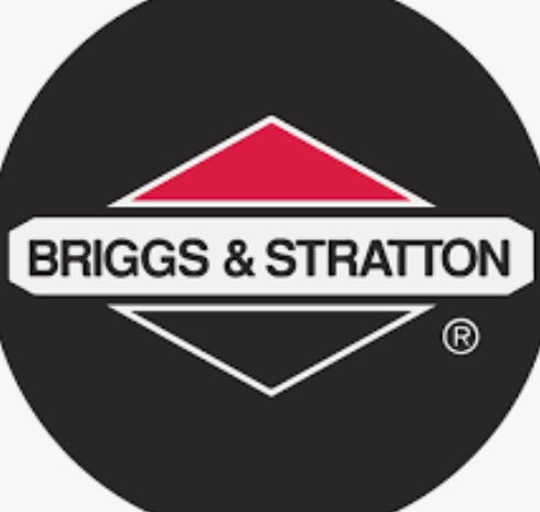 Briggs Raptor Flathead Parts