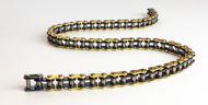 RLV 219 4-cycle kart chain high resolution image