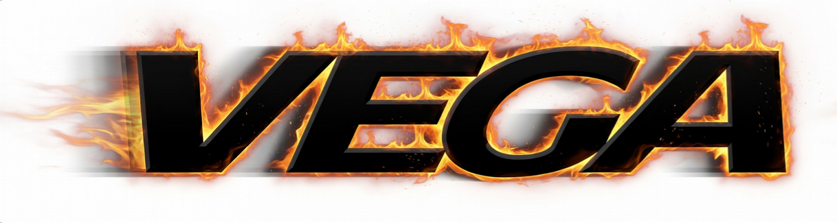 Vega kart racing tires official header logo for go-kart tracks