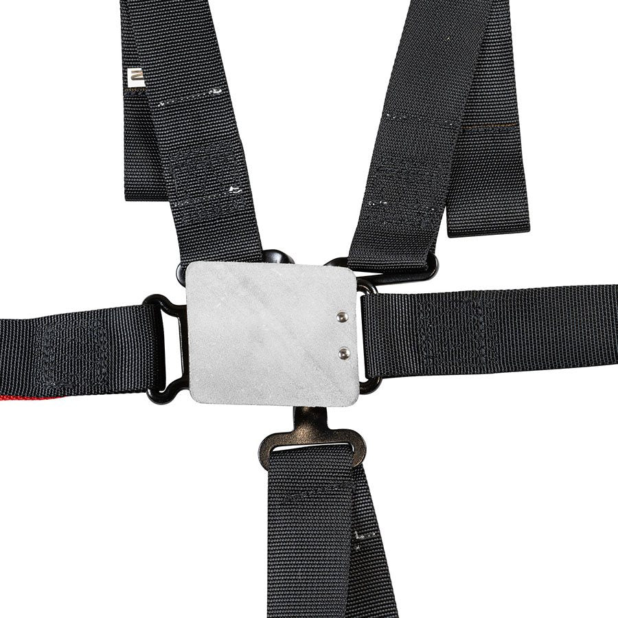 6 Point Race Seat Harness with 2 Inch Belts