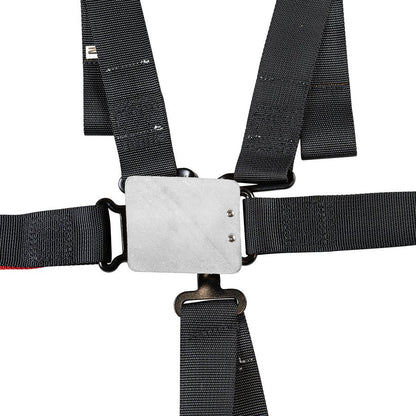 6 Point Race Seat Harness with 2 Inch Belts