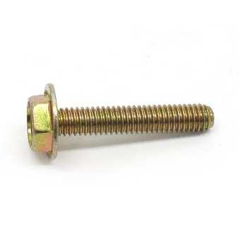 Coil mount screw for Briggs Raptor ignition system