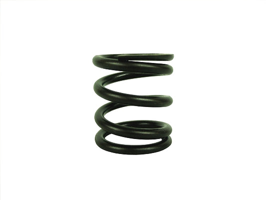 Heavy duty Dyno Animal valve spring component