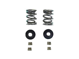 Dyno 36# dual valve spring kit with retainers for Honda Clone engines